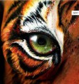 /album/bodyart/tigre-jpg1/